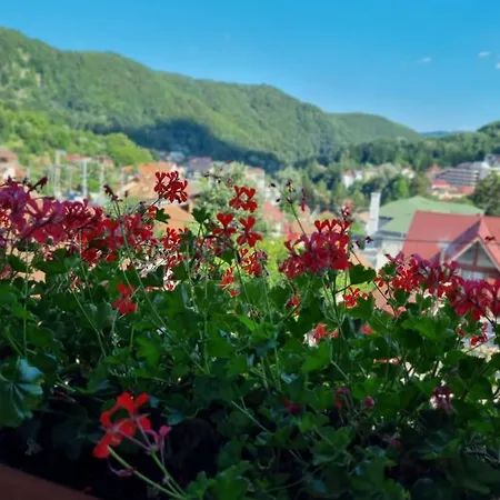 Gæstehus Casa Giulia
