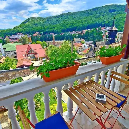 Casa Giulia Gæstehus Băile Olăneşti
