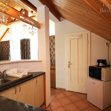 Casa Giulia Gæstehus Băile Olăneşti